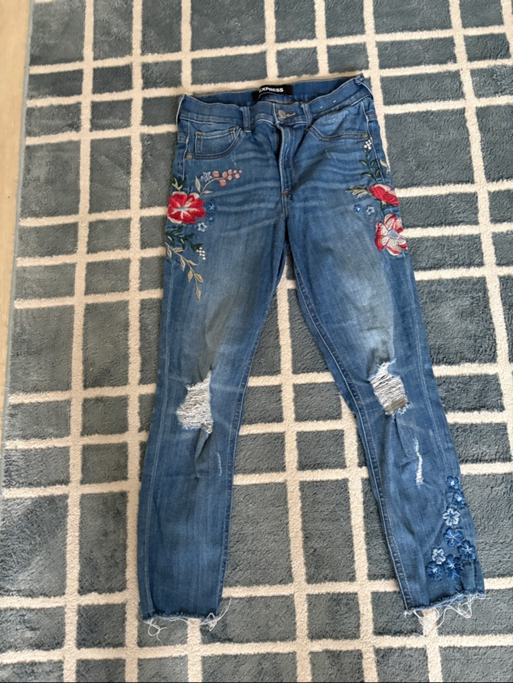 Express Blue Skinny Jeans with Red Floral Embroidery